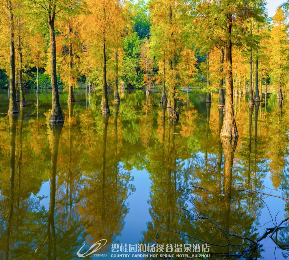 Country Garden Hot Spring Hotel Huizhou Хойчжоу Экстерьер фото